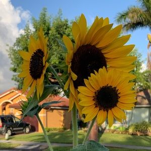 Meet your Posher, Chelle